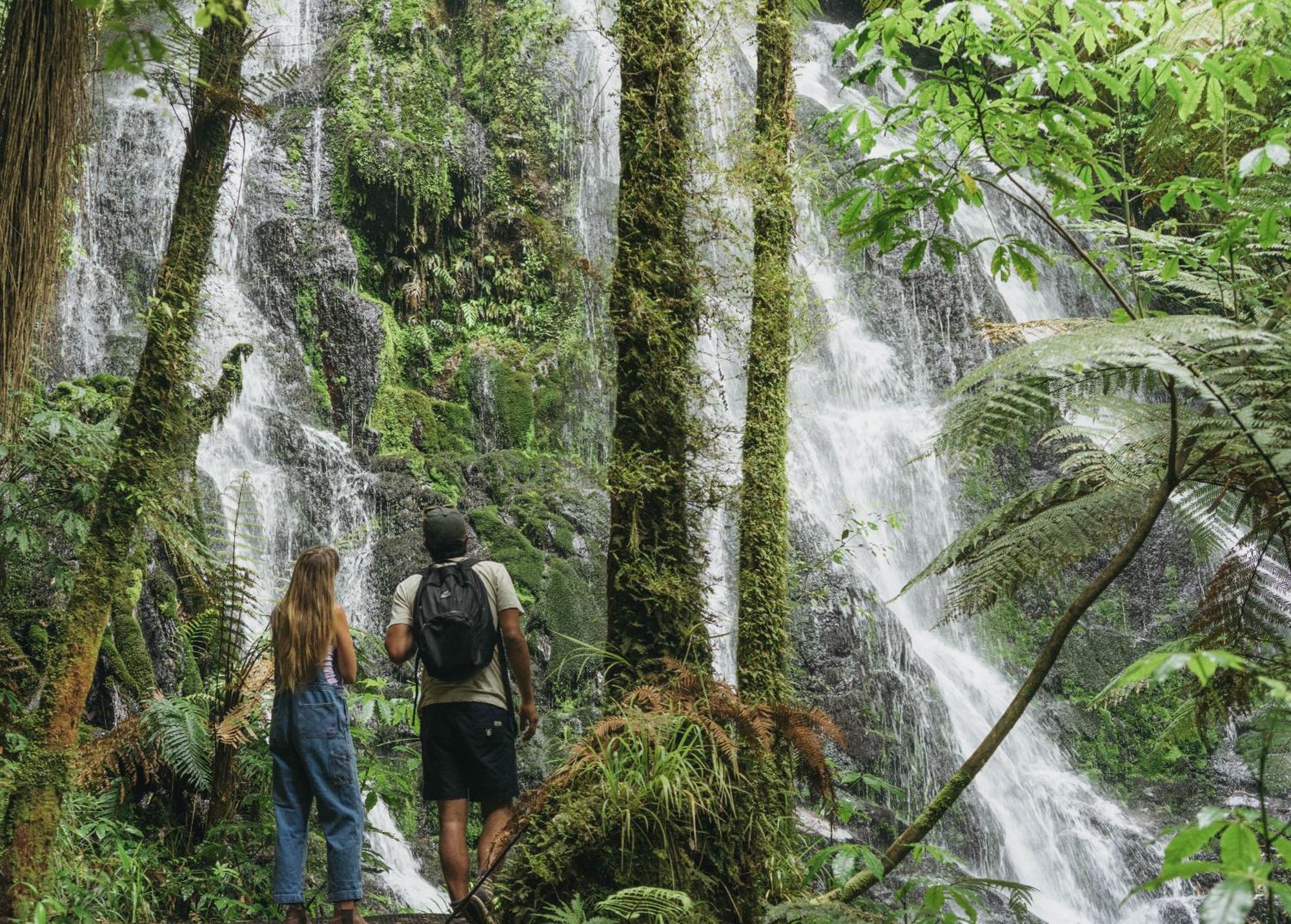 Treetops Lodge & Estate Роторуа Екстериор снимка